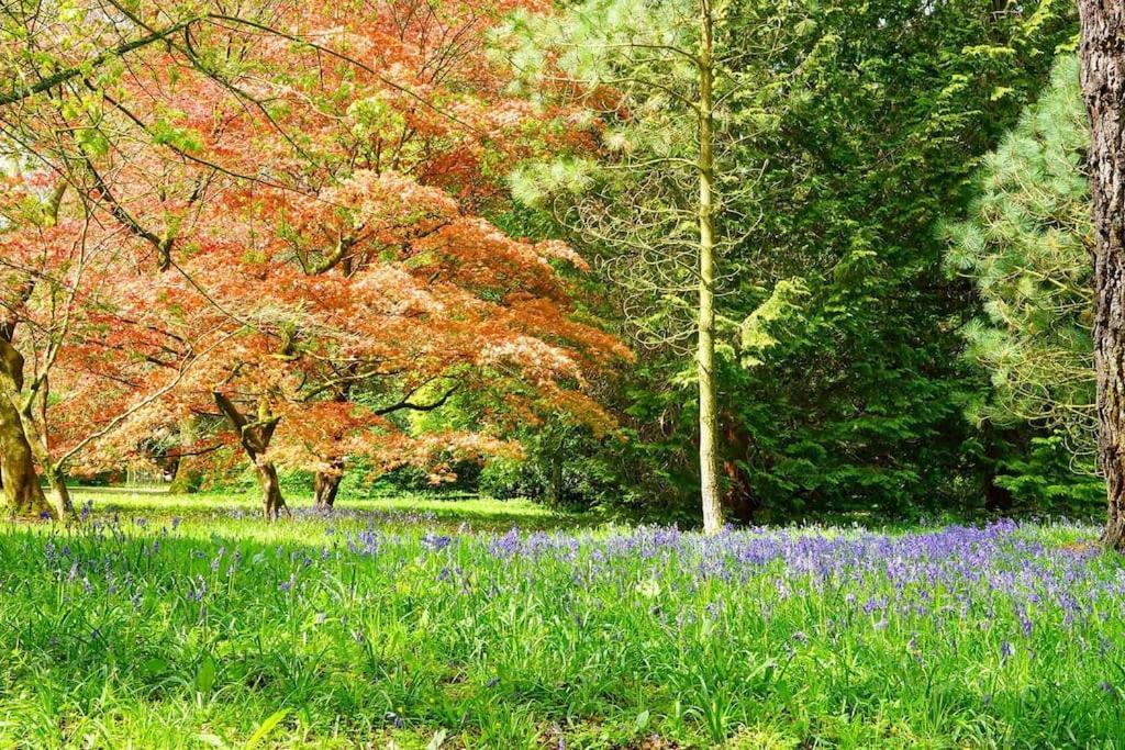 Cotswold Manor House - Country House Retreat With Hot Tub, Ideal For Large Groups Petty France Exteriör bild